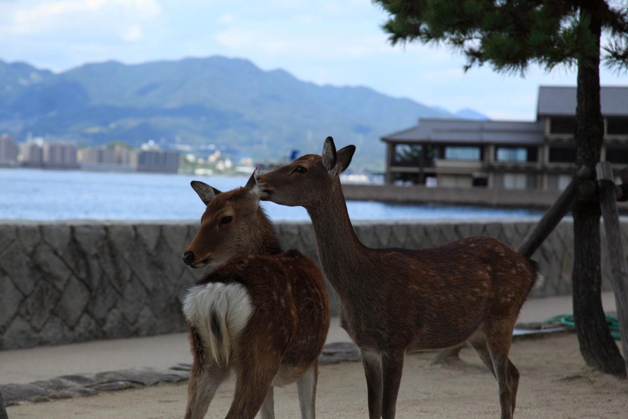 Global Resort Ono De Lune Hatsukaichi Εξωτερικό φωτογραφία